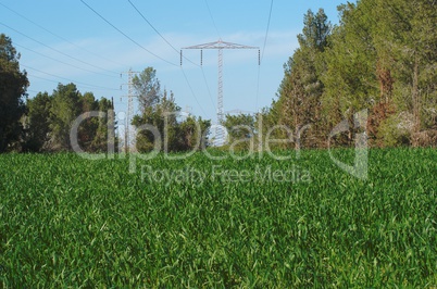 Overhead power transmission line over the pine forest and meadow
