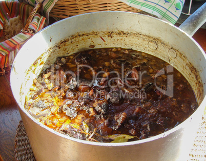 Wild boar stew