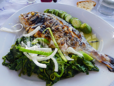 Grilled sea bream plate with vegetable