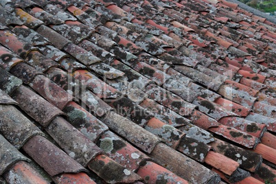Background of old roof tiles covered with lichen and moss