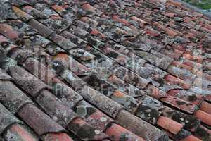 Background of old roof tiles covered with lichen and moss