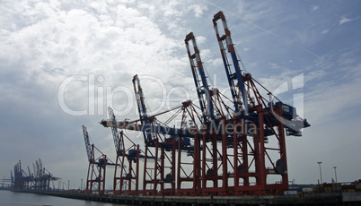 container terminal