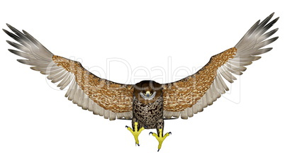 Dark falcon flying - 3D render