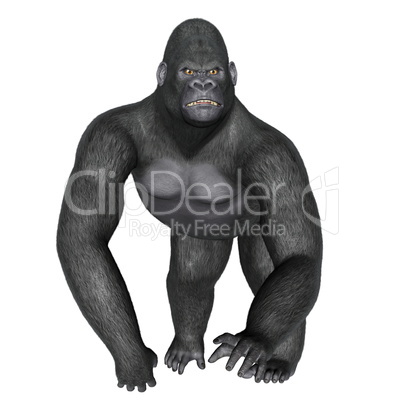 Angry gorilla walking - 3D render