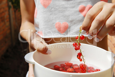 Hand holding red currants