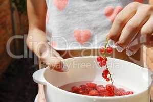 Hand holding red currants