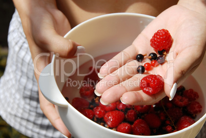 Holding red raspberries and currants in the hand