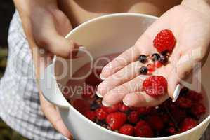 Holding red raspberries and currants in the hand