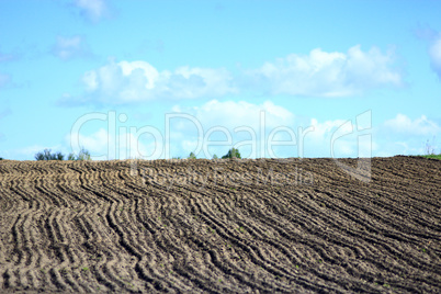plowed land ready for planting potato in the village