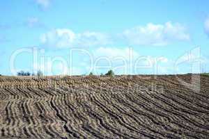 plowed land ready for planting potato in the village