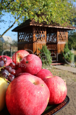 red apples on the arbor background