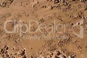 Birds footprints in brown mud