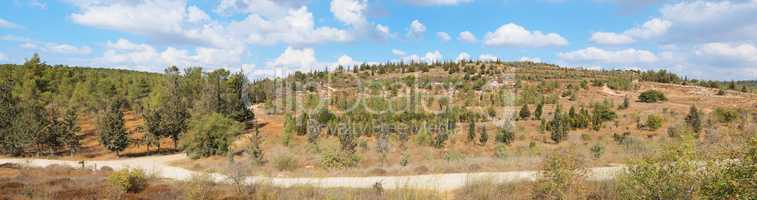 Empty hiking trail among low hills with pinetrees