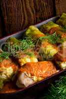 Cabbage rolls out young cabbage