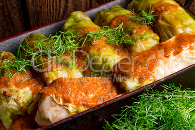 Cabbage rolls out young cabbage