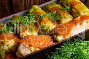 Cabbage rolls out young cabbage