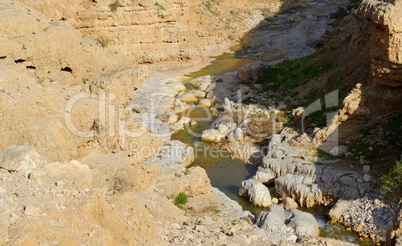Wadi Qelt or Nahal Prat creek in Judean Desert near Jericho