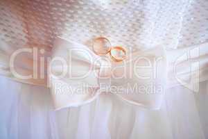 two rings and wedding dress. bow at the waist