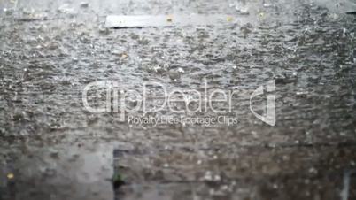 Summer Rain Season Closeup