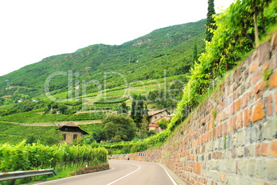 Weinlandschaft bei Bozen