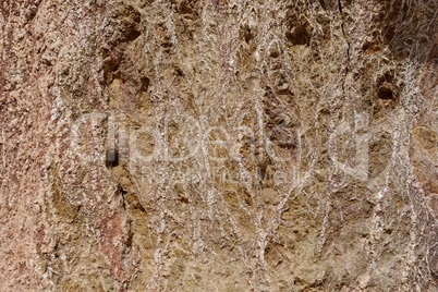 Brown rock texture