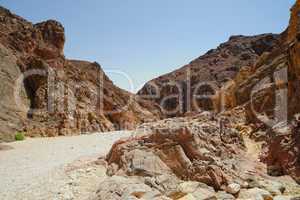 Path in scenic desert canyon, Israel