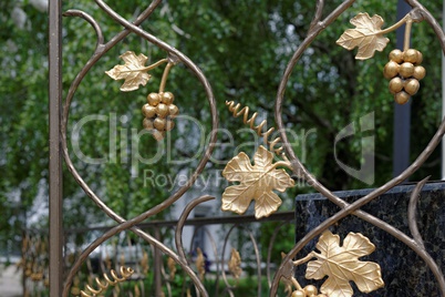 Fragment of decorative lattice in shape of grape vine in Kiev, Ukraine