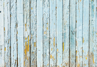 Vintage Blue background wood wall, concept