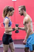 A muscular couple lifting dumbbells