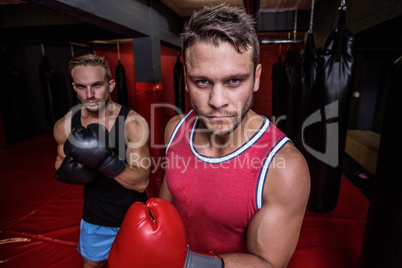 Boxing men looking at the camera