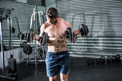 Concentrated muscular man lifting dumbbells