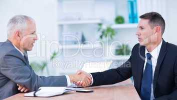 Two businessmen shaking hands and working