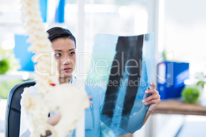 Concentrated doctor analyzing X-rays