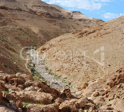 Desert canyon
