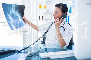 Doctor looking X-rays while having phone call