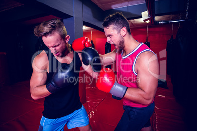 Two boxing men exercising together