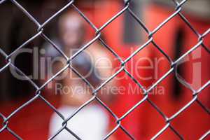 Boxer behind an iron fence