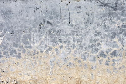 Grungy White Concrete Wall Background