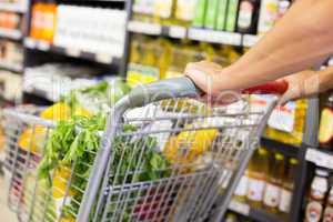 Man pushing his trolley on aisle