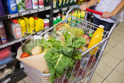 woman buy products with her trolley