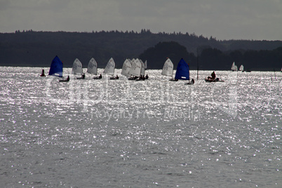 Optimisten auf dem Schweriner See