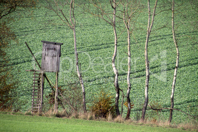 Hochsitz für Jäger im Wald