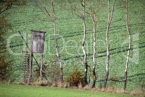 Hochsitz für Jäger im Wald