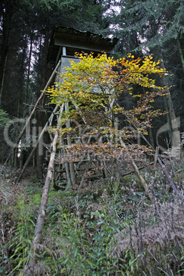 Hochsitz für Jäger im Wald