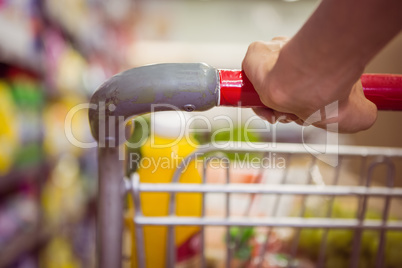 woman buy products with her trolley