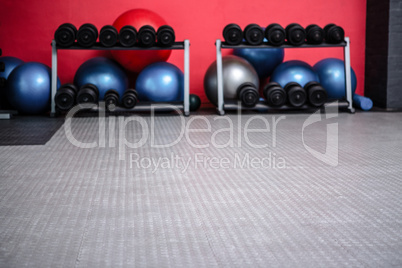 Weights room with exercise balls