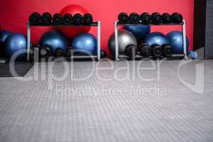 Weights room with exercise balls