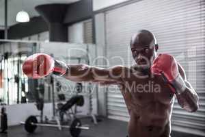 Young Bodybuilder posing in front of the camera