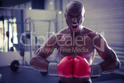 Young Bodybuilder posing in front of the camera