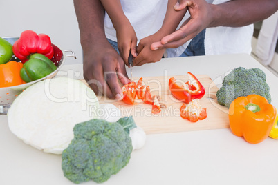 Child cooking with his father